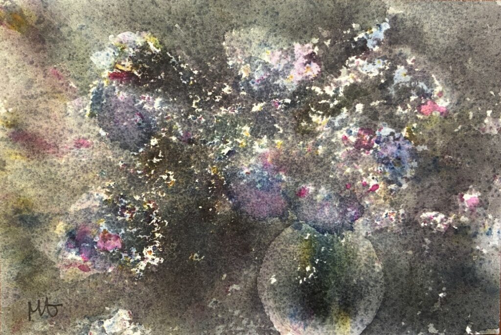 017