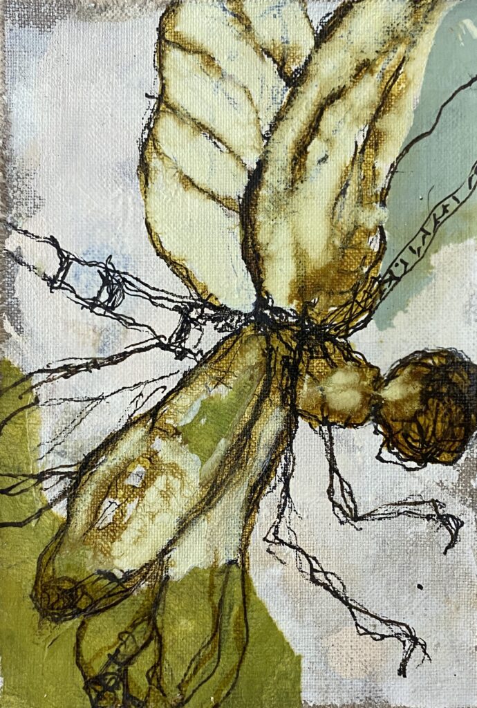 Dragonfly