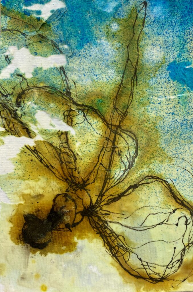 Mystical Dragonfly