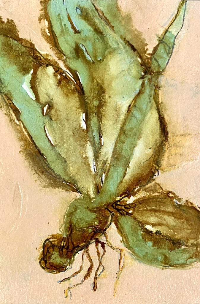 The Twinkling Dragonfly