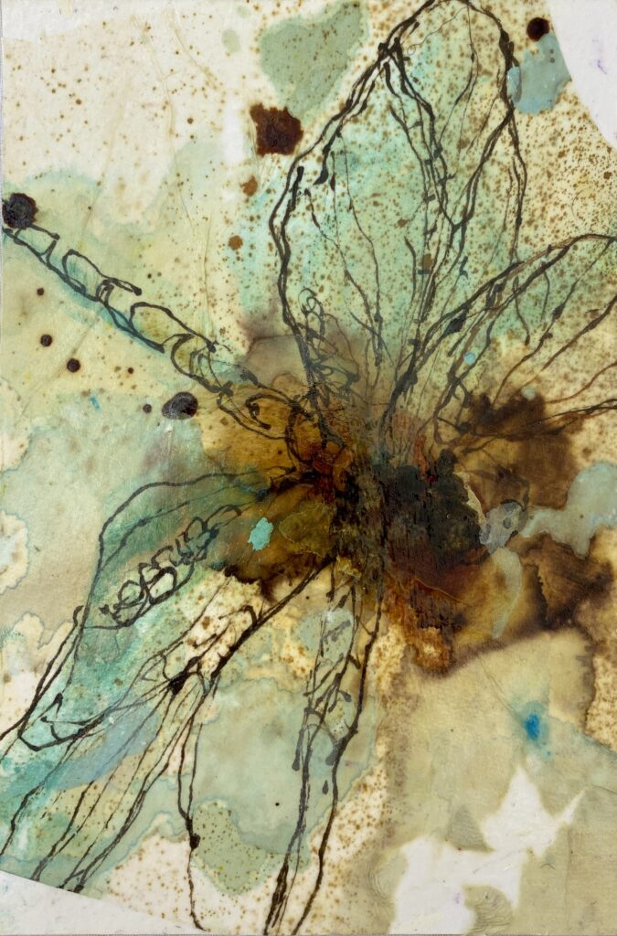 Mystical Magical Dragonfly