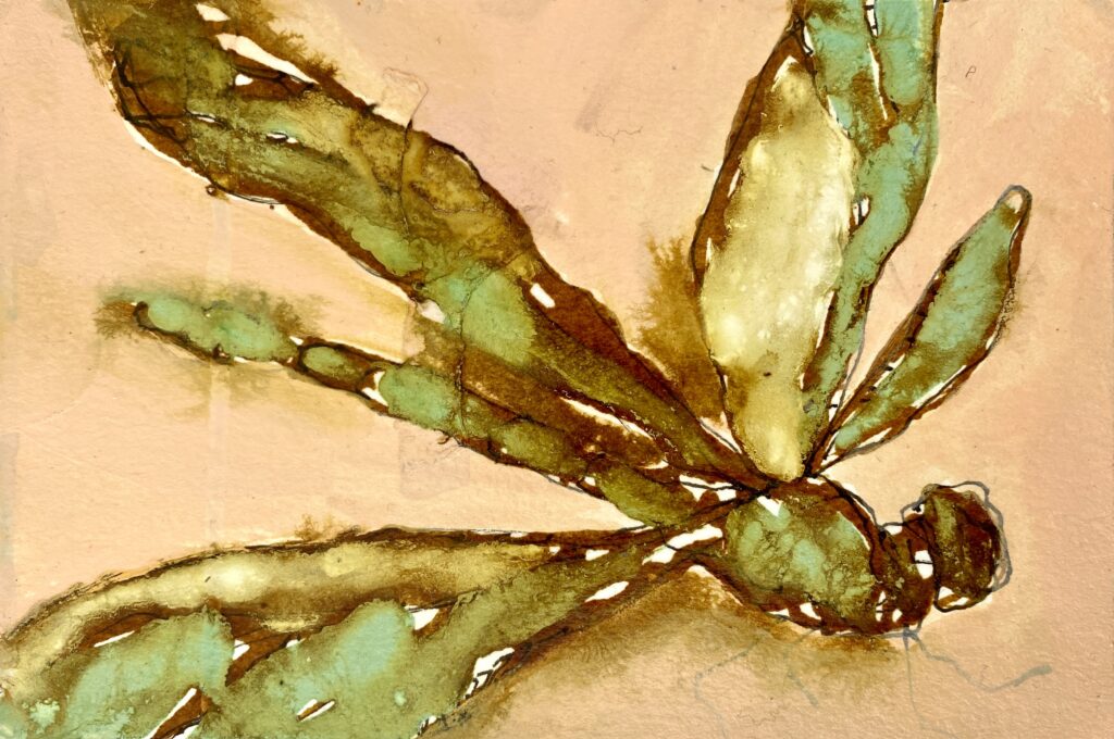 Dragonfly