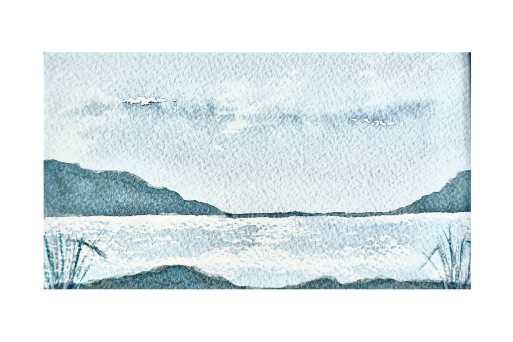 Landscape in DK
